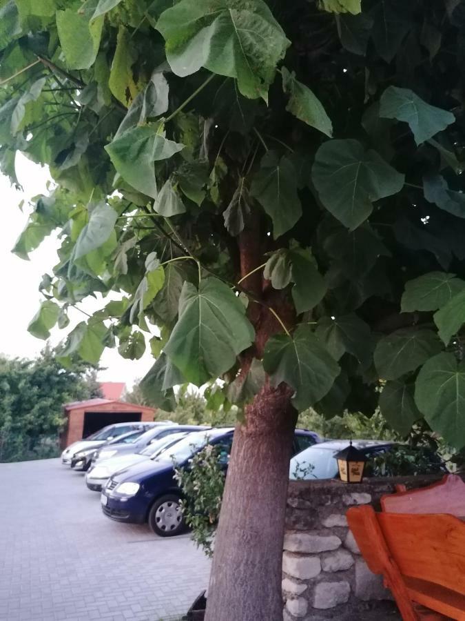 Szentesi Panzió Fertorakos Exterior foto