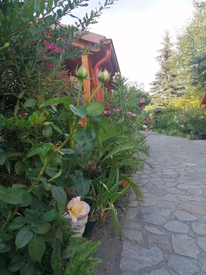 Szentesi Panzió Fertorakos Exterior foto