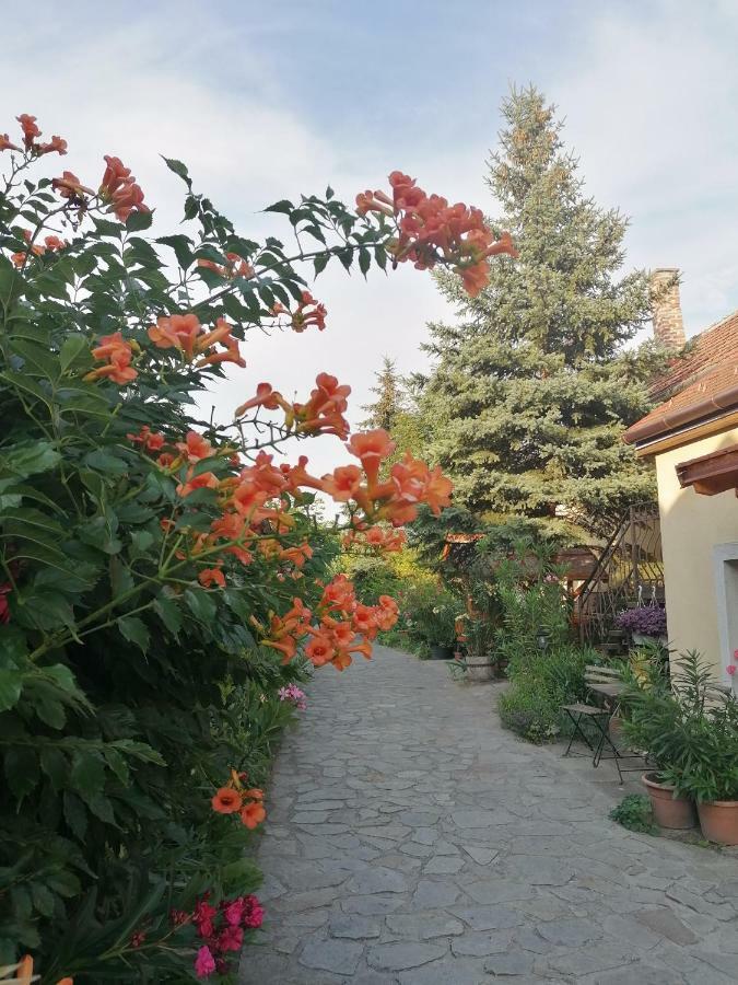 Szentesi Panzió Fertorakos Exterior foto