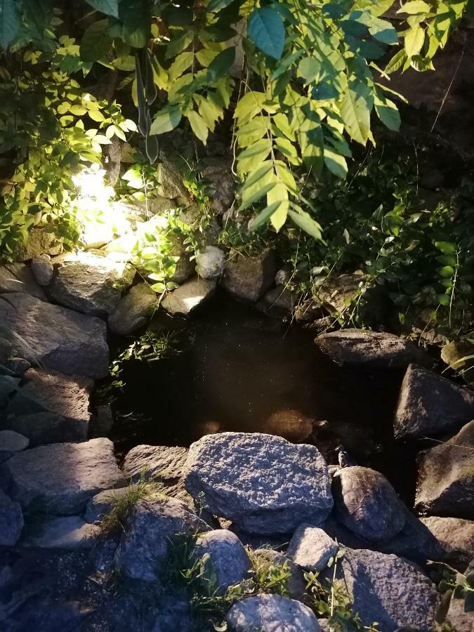 Szentesi Panzió Fertorakos Exterior foto